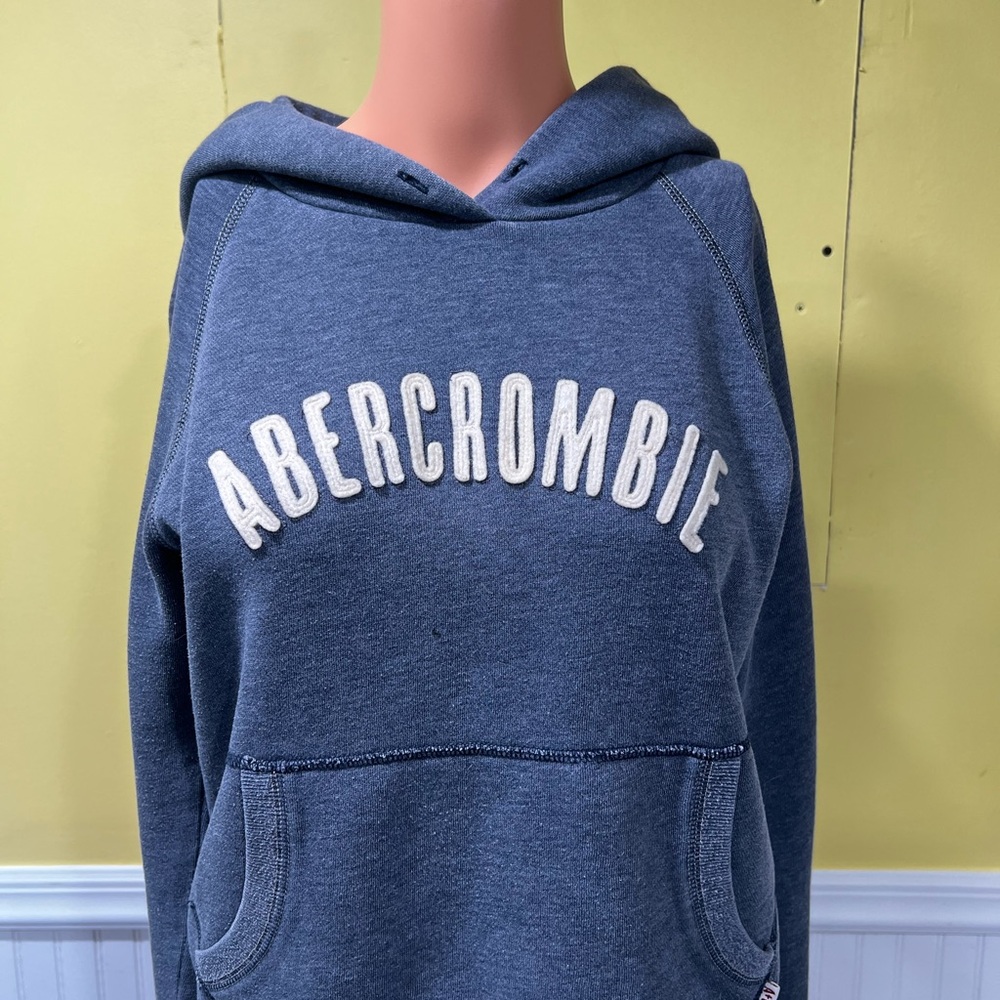 Abercrombie & Fitch Gray Sweatshirt